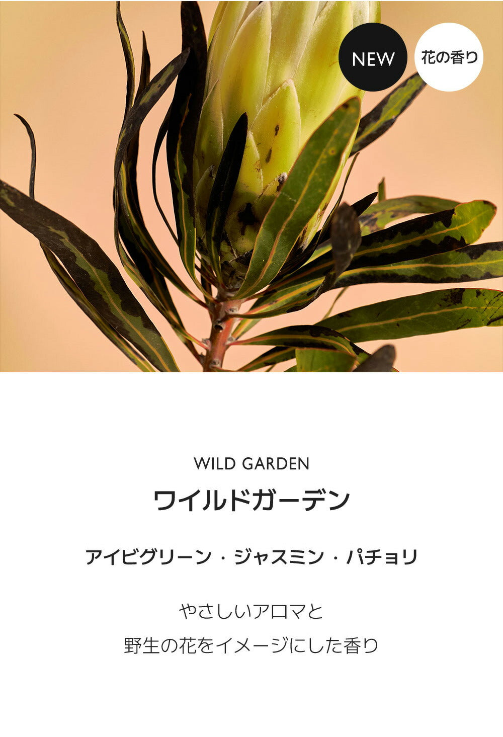 【使用期限2026年3月19日まで】★国内配送★ LIBER(リベル) : (全3種) ディフューザー 100ml Diffuser アロマディフューザー ルームフレグランス 【国内配送:宅配便】