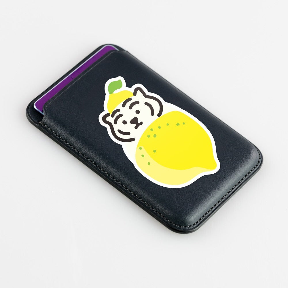 ★国内配送★ MUZIK TIGER(ムジークタイガー):11PCS REMOVABLE STICKER 10 リムーバブルステッカー ステッカー【国内配送:ネコポス】