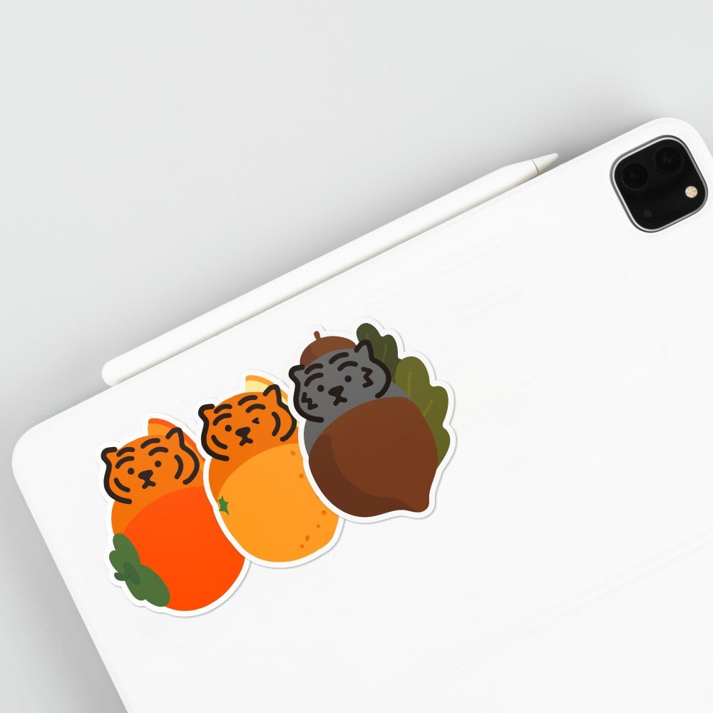 ★国内配送★ MUZIK TIGER(ムジークタイガー):11PCS REMOVABLE STICKER 10 リムーバブルステッカー ステッカー【国内配送:ネコポス】